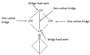 2236_bicyclic compounds.png